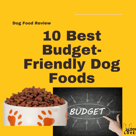 Best Budget-friendly dog foods