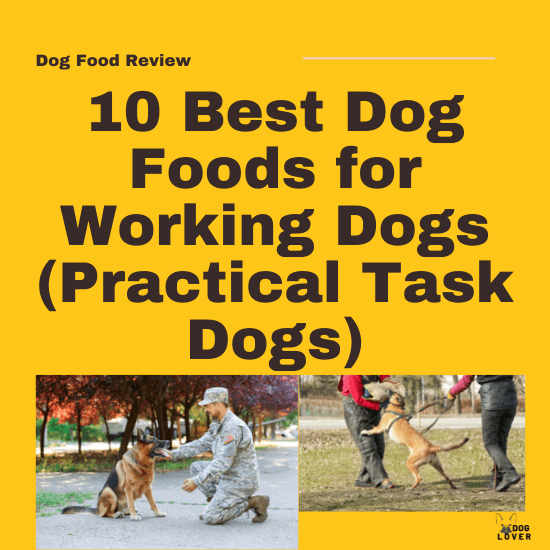 Best dog food for working dogs