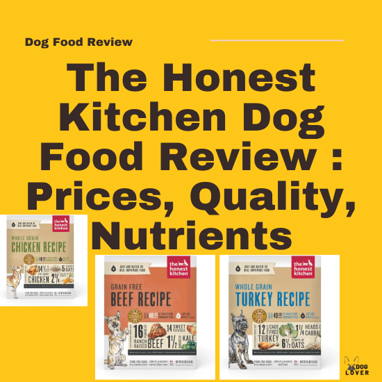 The honest kitchen dog food review