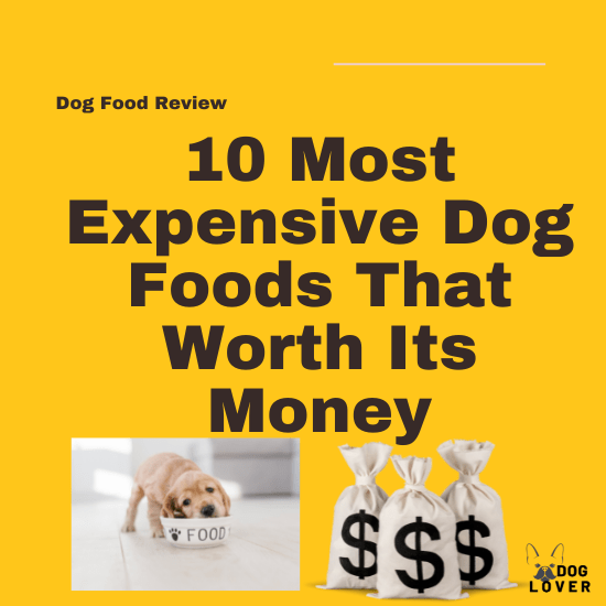 Expensive dog foods