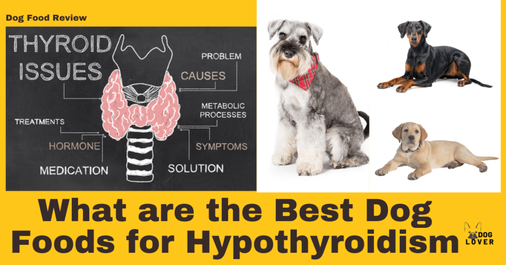 Best dog food for What are the Best Dog Foods for Hypothyroidism