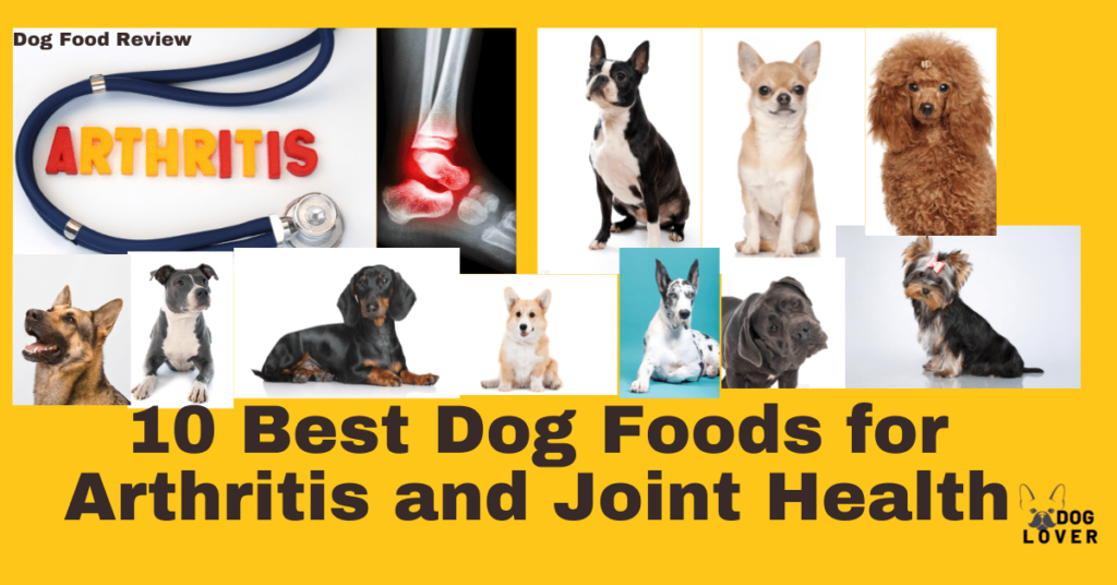 Best Dog Food for joint health