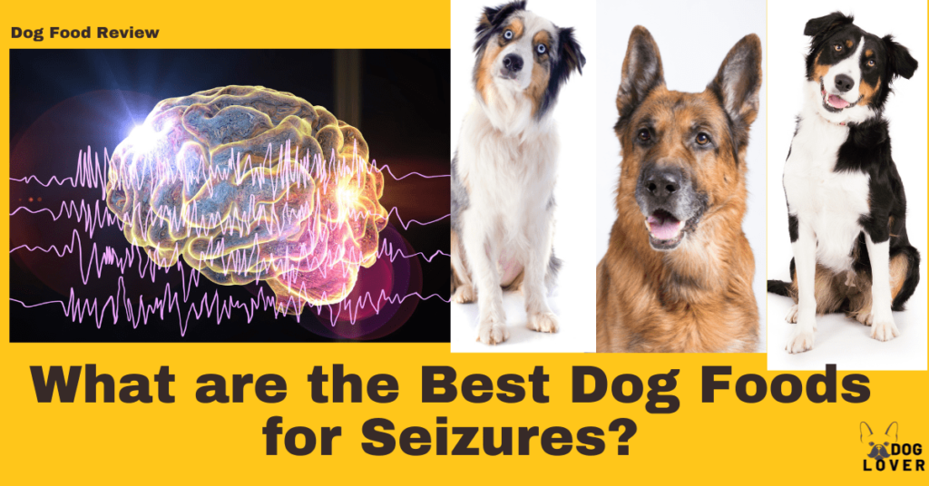Best dog foods for seizures