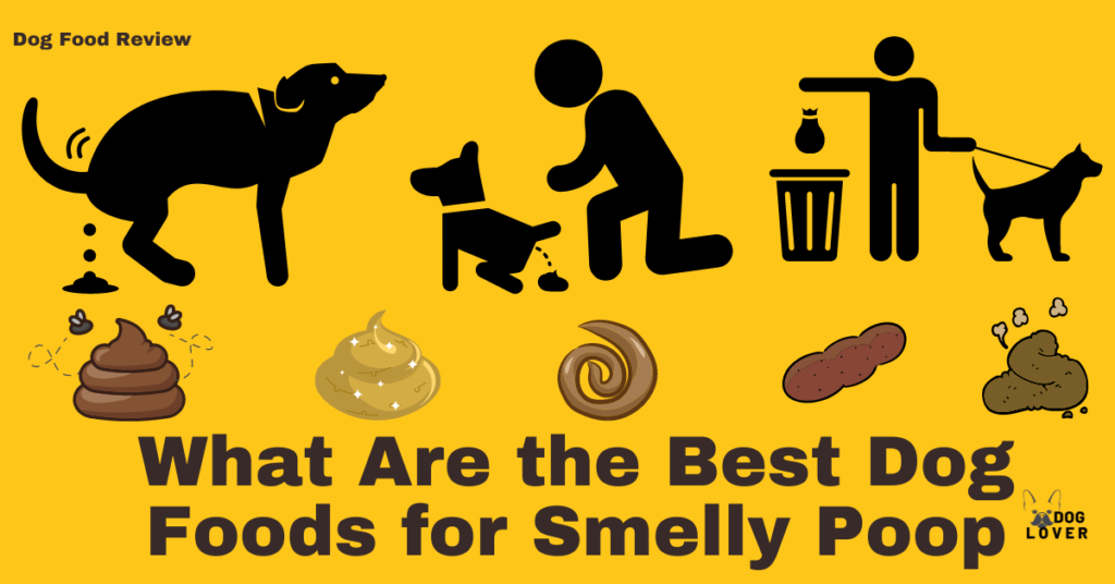 Best dog foods for smelly poop
