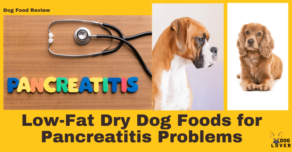 Best dog foofs for pancreatitis