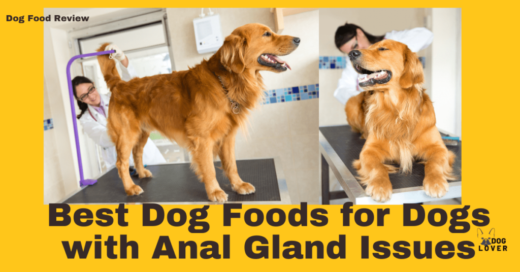 Best dog foods with anal glands issues