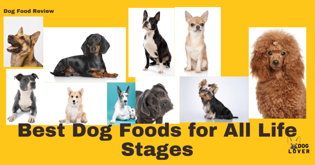 Best Dog Foods for All Life Stages