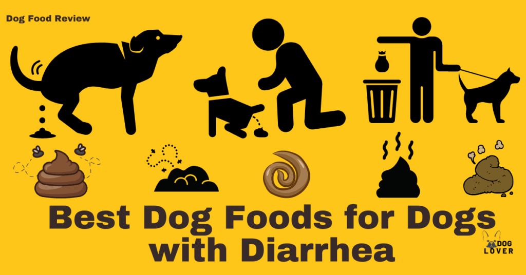 Dogs with diarrhea