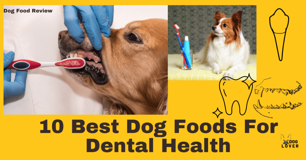 Best dog foods for dental health