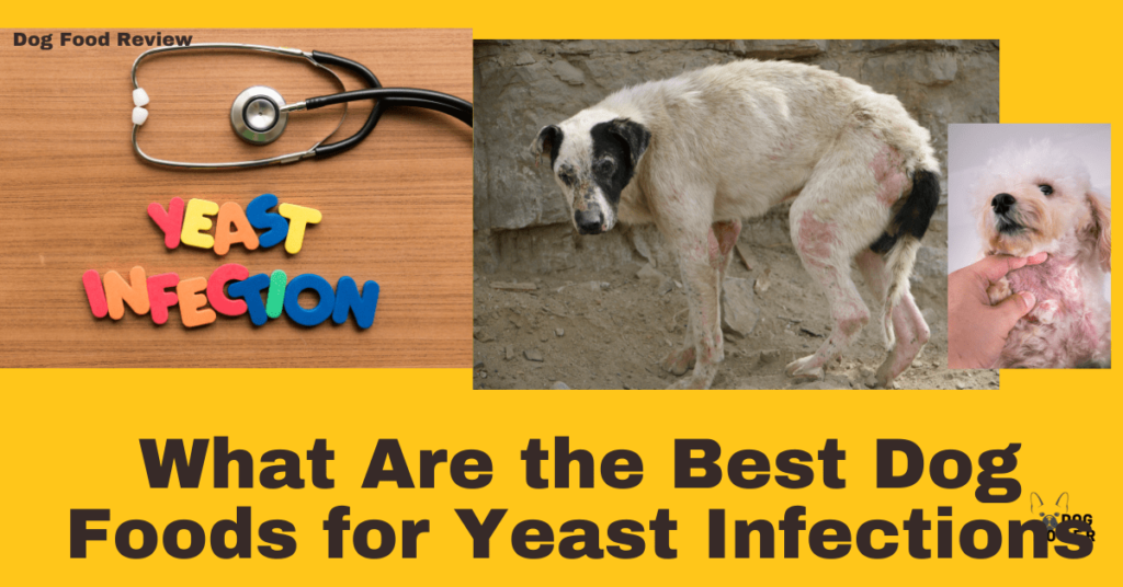 best dog foods for yeast infections