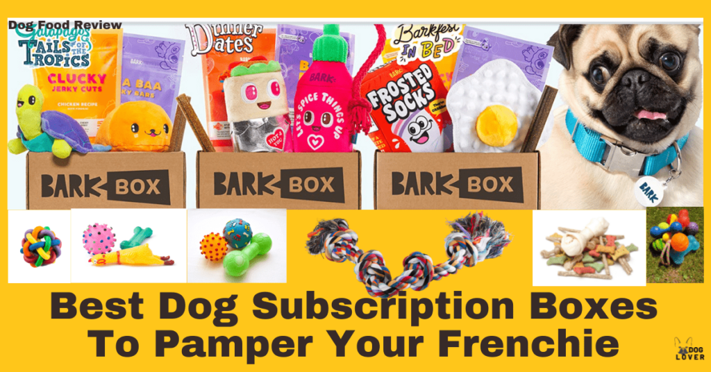 Best dog subscription boxes