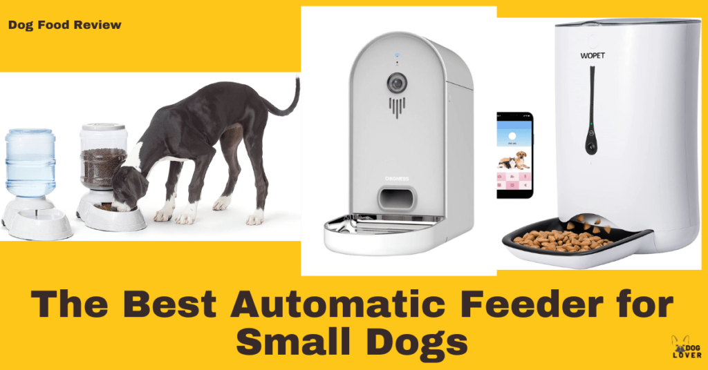 Best automatic feeders for small dogs