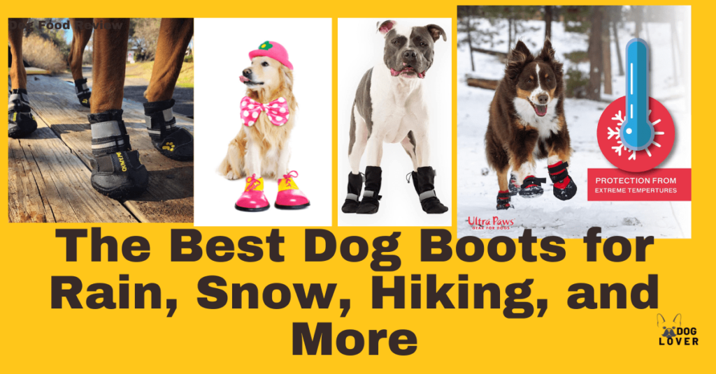 The Best Dog Boots