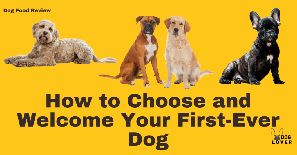 How to choose and welcome your first dog