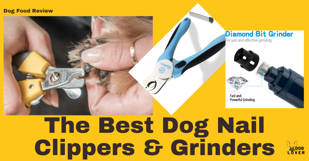 Best dog nail clippers
