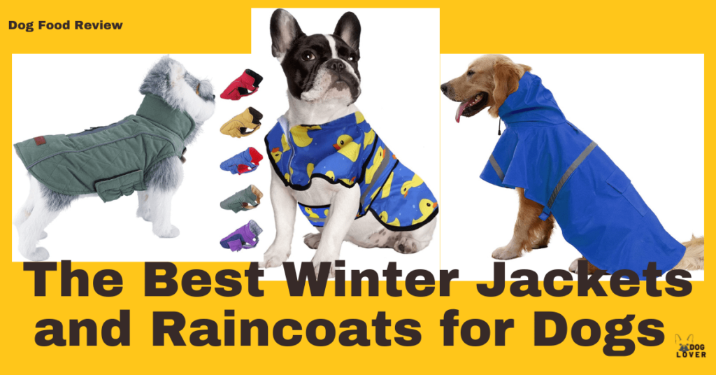 Best winter jackets