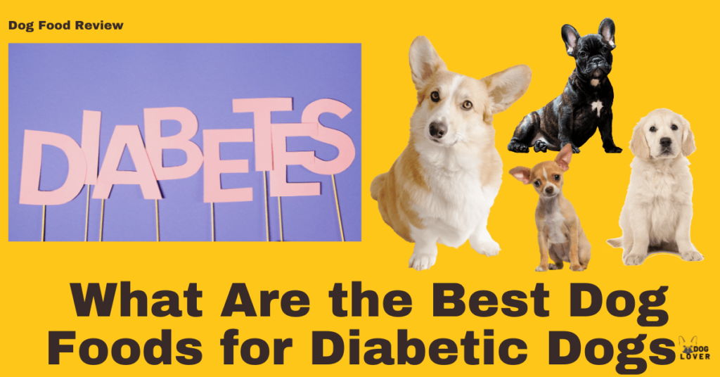 Best dog foods for diabetic dogs
