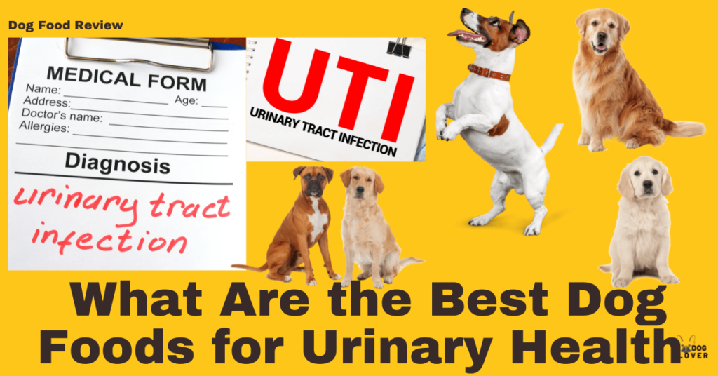 Best dog foods for urinary health