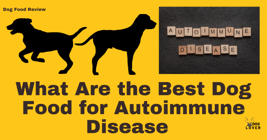 Best dog fooods for autoimmune diseases