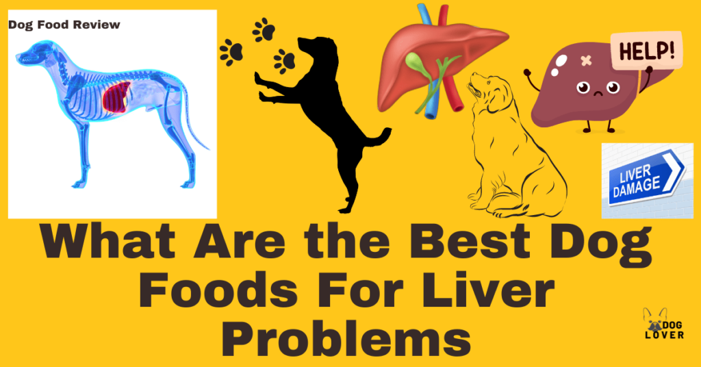 Best dog foods for liver problems
