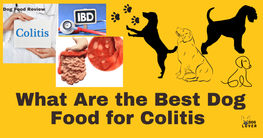Best dog food for Colitis