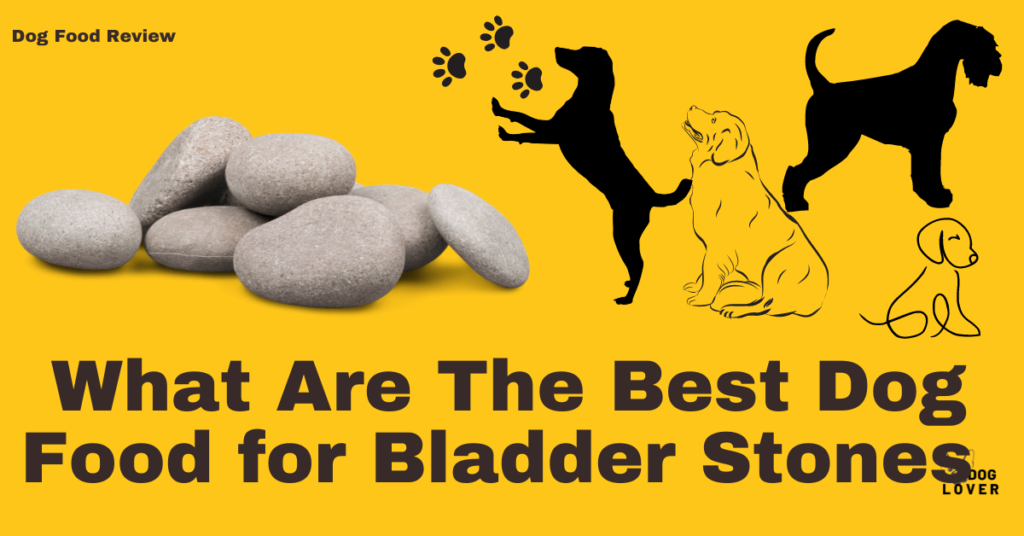 Best dog food for bladder stones