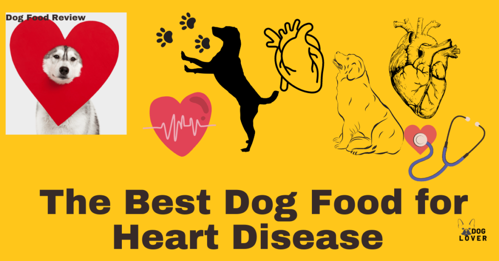 Best dog food for heart disease