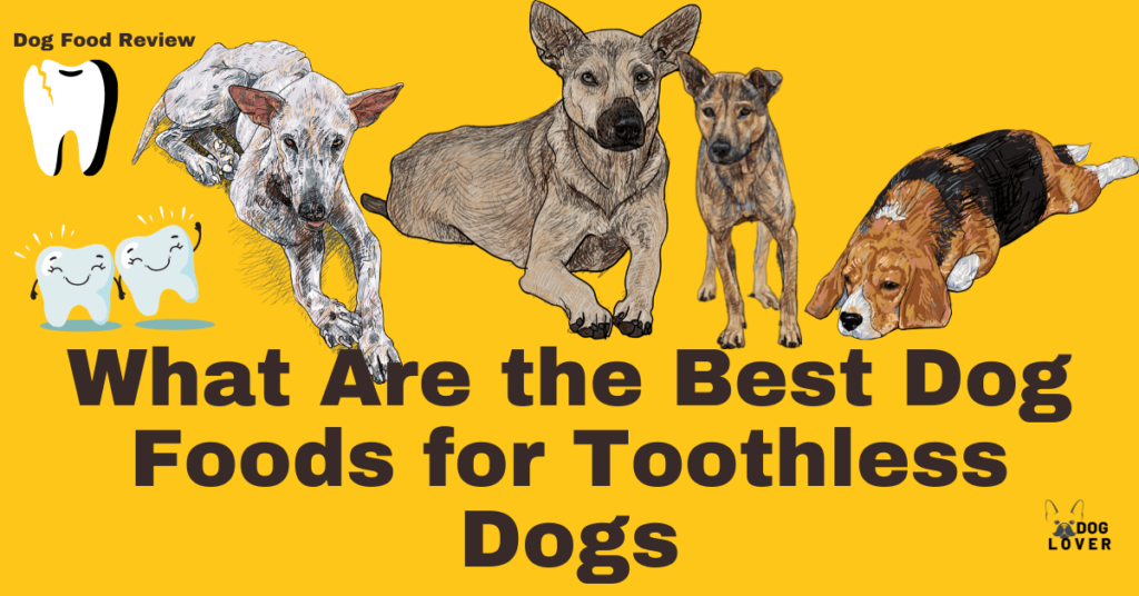 Best dog food for toothless dogs