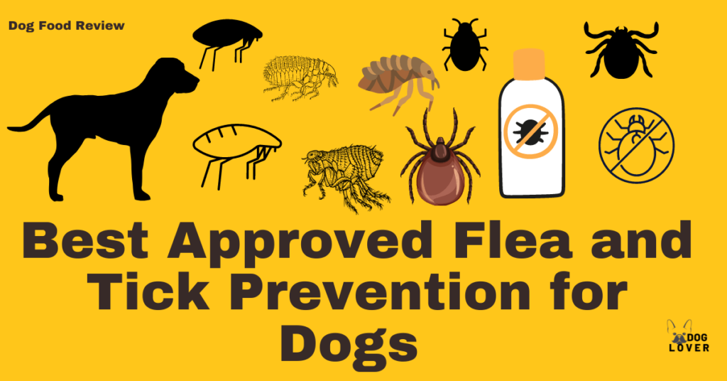 Flea and ticks prevention