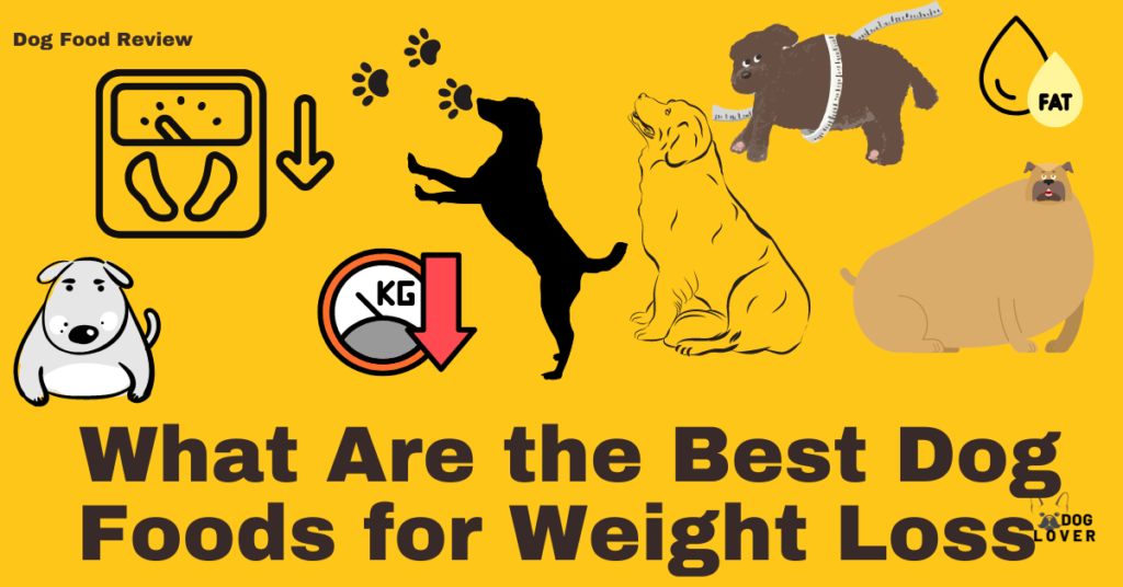 Best dog food for weight loss