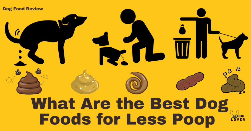 Best dog food for less poop