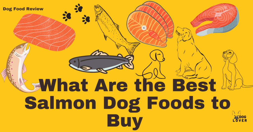 Best salmon dog foods