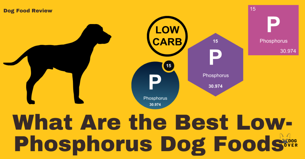 Best low-phosphorus dog food