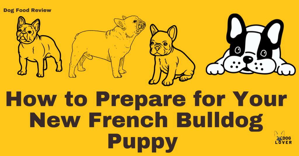 How to prepare for your new french bulldog puppy