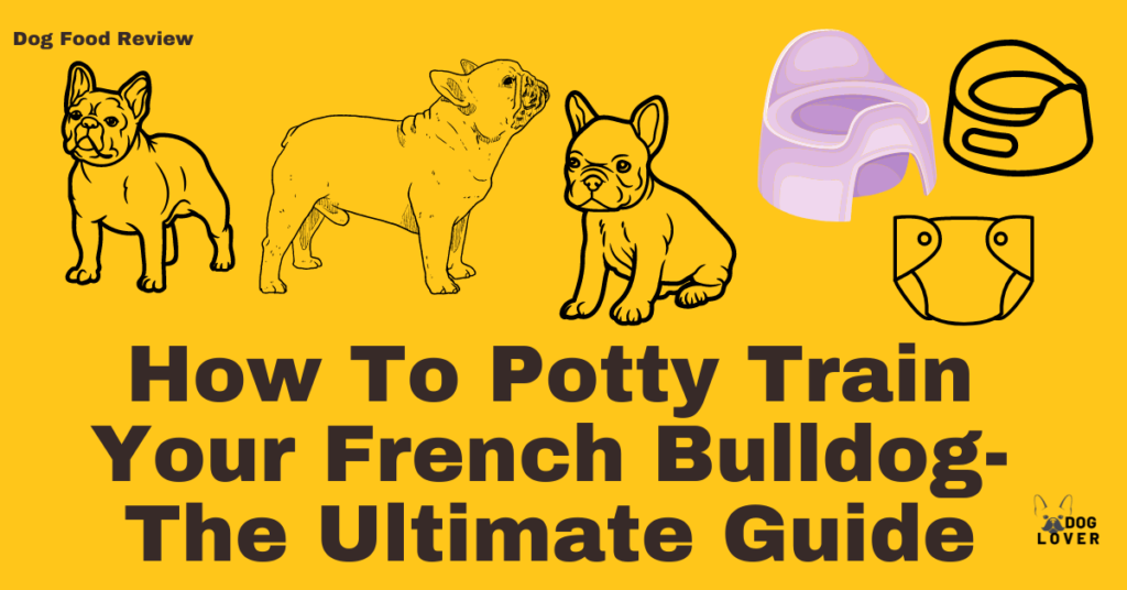 How to potty train your French Bulldog