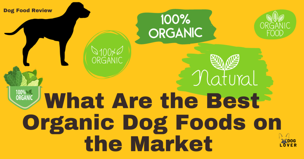 Best Organic Dog Foods