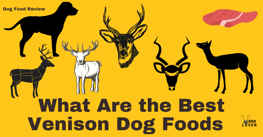 Best Venison Dog Foods