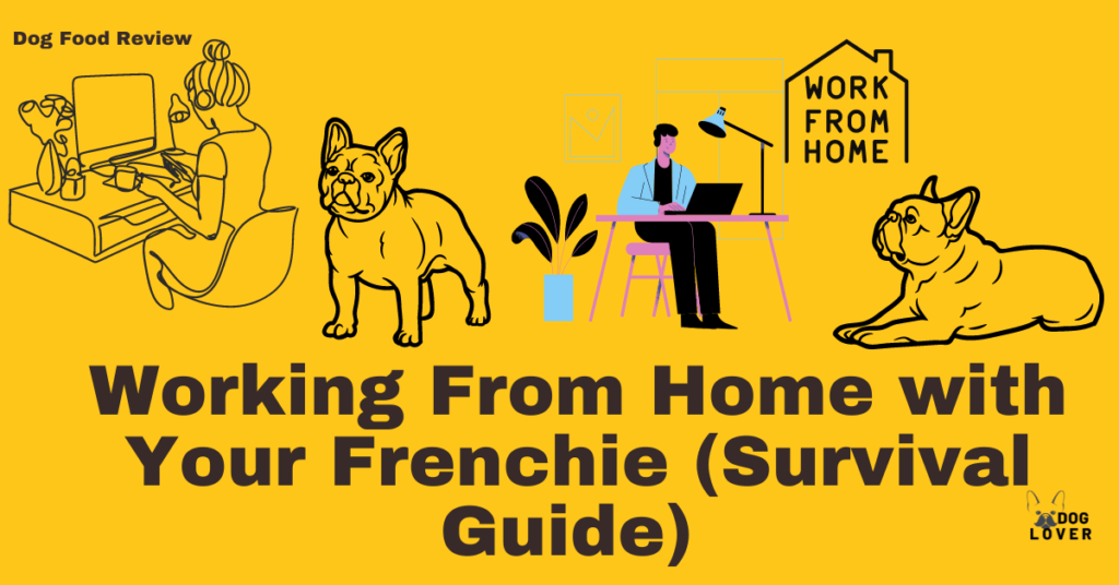 Working form home with your Frenchie