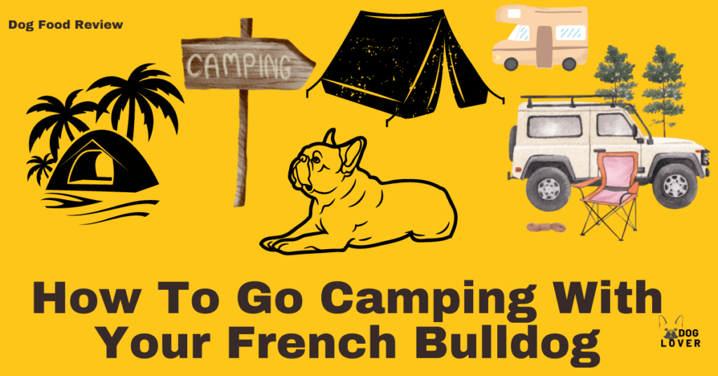 How to go camping with your French Bulldog