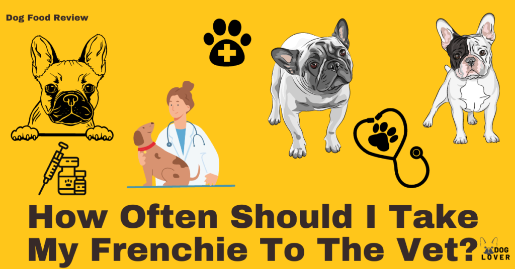 Frenchie to the vet