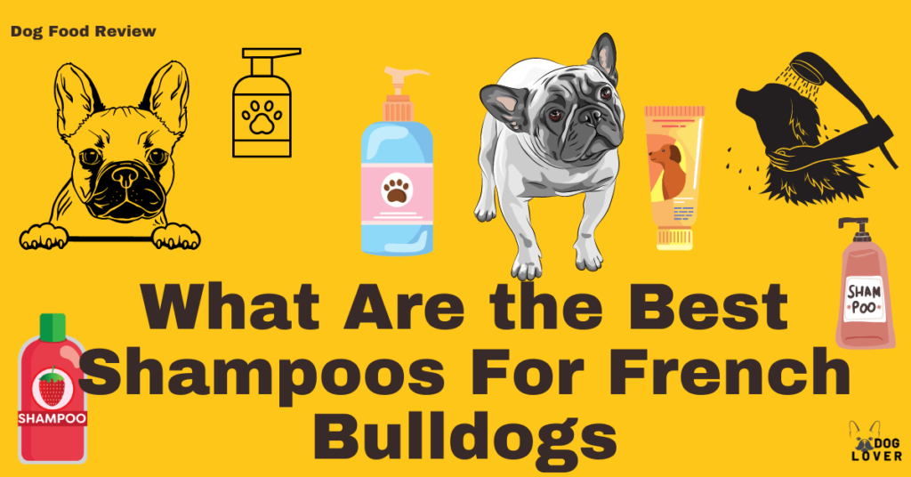 Best Shampoos for french bulldogs