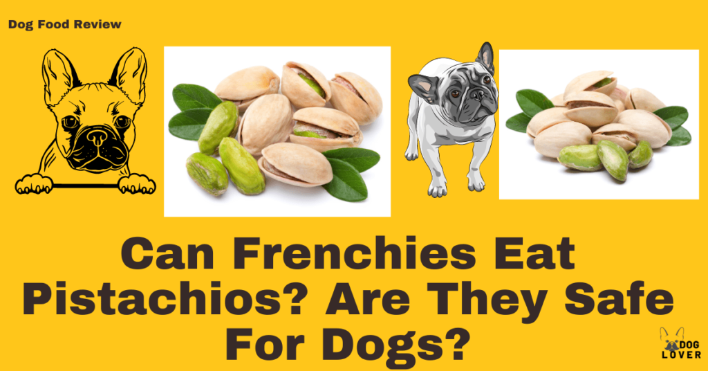 Can Frenchie eat Pistachios