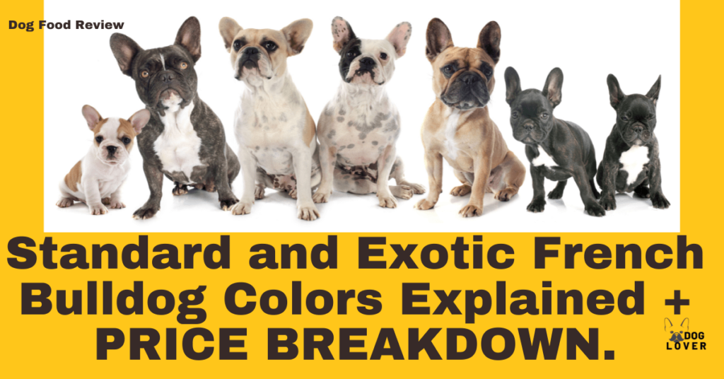 Frenchbulldog Colors