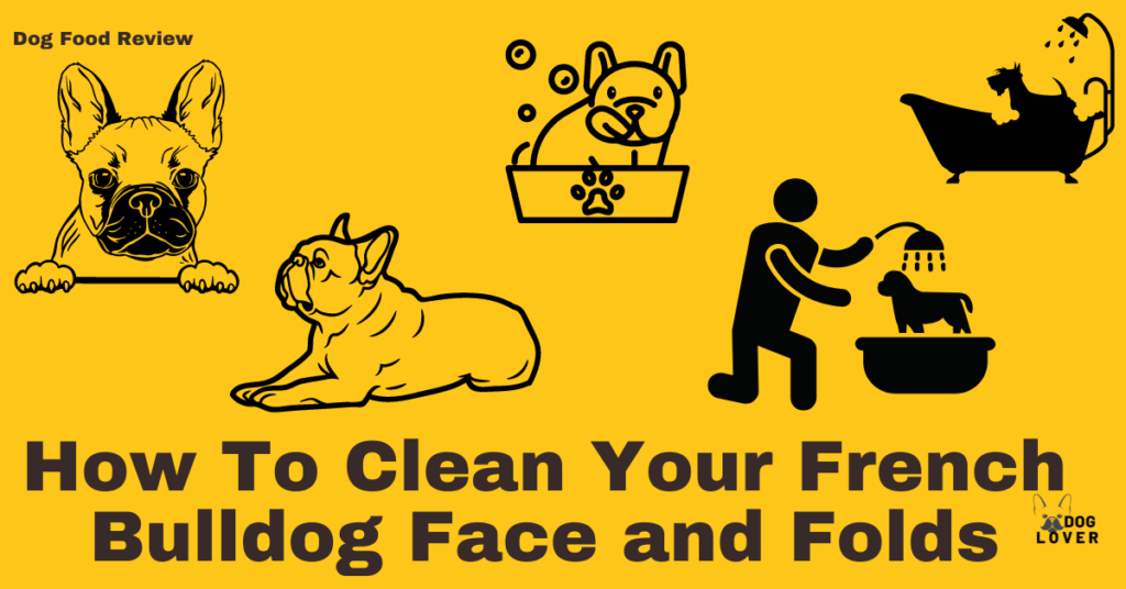 How to clean your French Bulldog