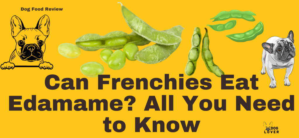 Can Frenchies Eat Edamame?