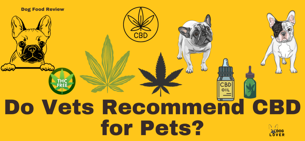 Do Vets recommend CBD for pets?