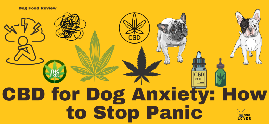 CBD for dog anxiety