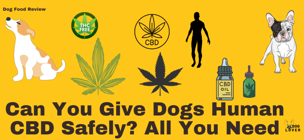 Can you givehuman CBD to dogs?