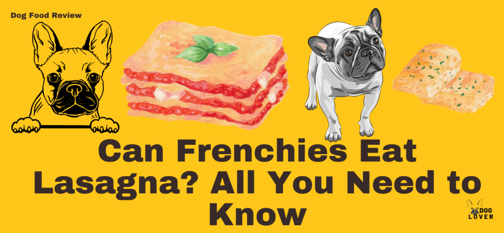 Can Frenchie eat Lasagna