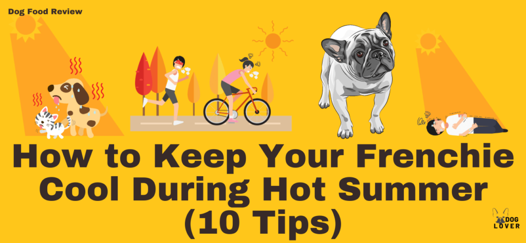 How to keep your Frenchie cool